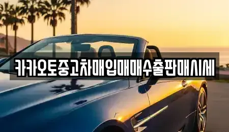 대전 중구 은행동 중고차 전문 카카오토중고차매입매매수출판매시세