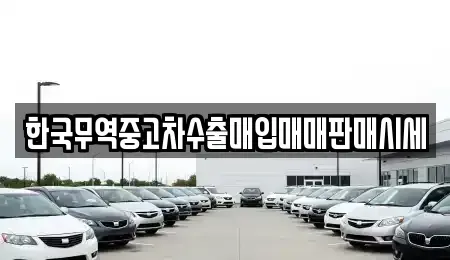대전 중구 은행동 중고차 전문 한국무역중고차수출매입매매판매시세