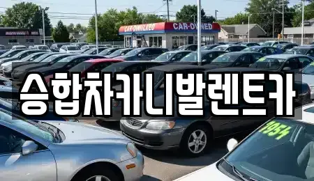 대전광역시 대덕구 장동 렌트카 전문 승합차카니발렌트카