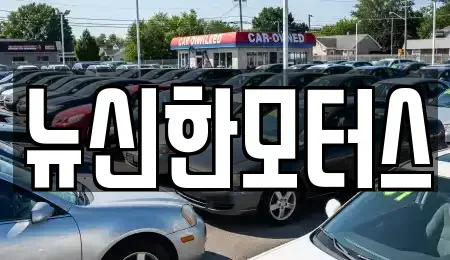 대전광역시 대덕구 장동 중고차매매 전문 뉴신한모터스