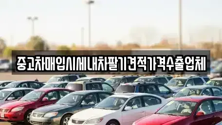 대전광역시 대덕구 장동 중고차매입 전문 중고차매입시세내차팔기견적가격수출업체