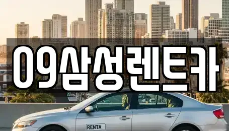 대전광역시 대덕구 중리동 렌트카 전문 09삼성렌트카