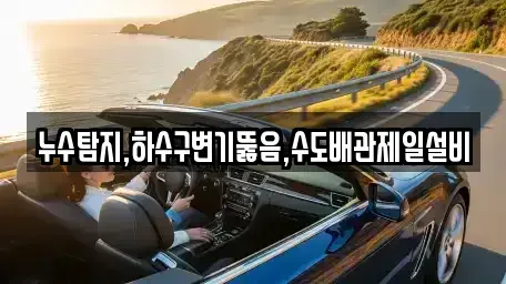 대전광역시 동구 인동 중고차 전문 누수탐지,하수구변기뚫음,수도배관제일설비