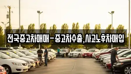 대전광역시 서구 가장동 중고차매매 전문 전국중고차매매-중고차수출,사고노후차매입