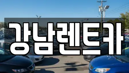 대전광역시 서구 정림동 렌트카 전문 강남렌트카