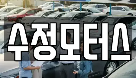 대전광역시 서구 정림동 중고차 전문 수정모터스