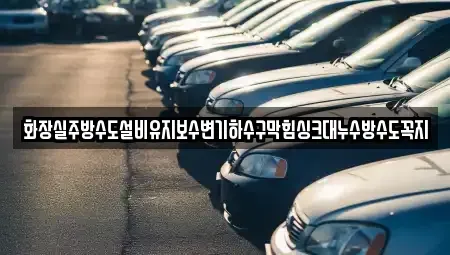 대전광역시 서구 정림동 중고차 전문 화장실주방수도설비유지보수변기하수구막힘싱크대누수방수도꼭지