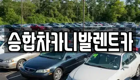 대전광역시 유성구 원촌동 렌트카 전문 승합차카니발렌트카