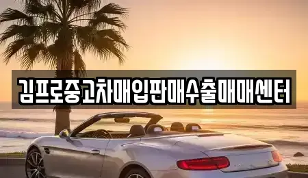 대전광역시 유성구 원촌동 중고차매입 전문 김프로중고차매입판매수출매매센터