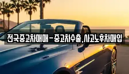 대전광역시 유성구 원촌동 중고차매입 전문 전국중고차매매-중고차수출,사고노후차매입