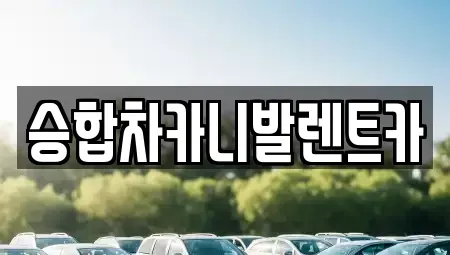 대전광역시 유성구 탑립동 렌트카 전문 승합차카니발렌트카