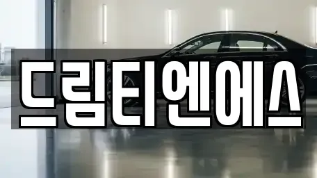 대전광역시 유성구 탑립동 중고차 전문 드림티엔에스