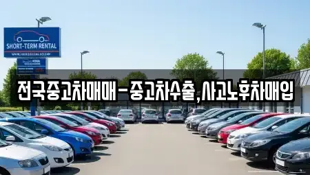 대전광역시 유성구 탑립동 중고차매입 전문 전국중고차매매-중고차수출,사고노후차매입