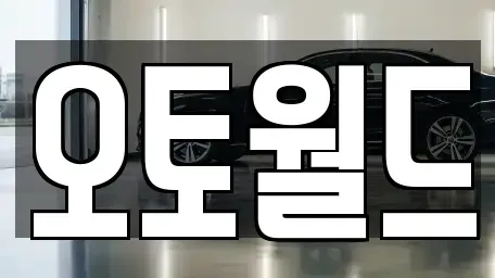 대전광역시 중구 문창동 중고차 전문 오토월드
