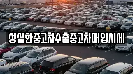 대전광역시 중구 용두동 중고차매입 전문 성실한중고차수출중고차매입시세