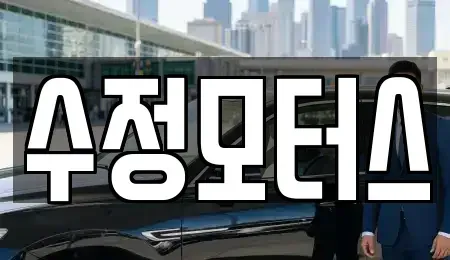 대전광역시 중구 중촌동 중고차 전문 수정모터스
