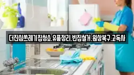 더진심쓰레기집청소.유품정리.빈집철거.원상복구.고독사