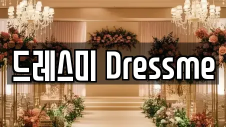 드레스미 Dressme
