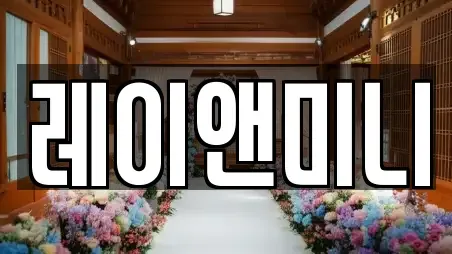 레이앤미니
