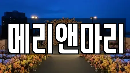메리앤마리