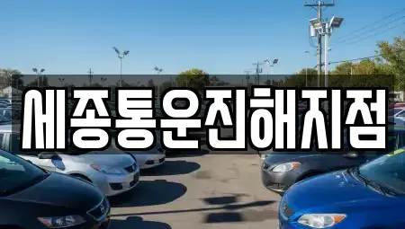 부산 강서구 성북동 렌트카 전문 세종통운진해지점