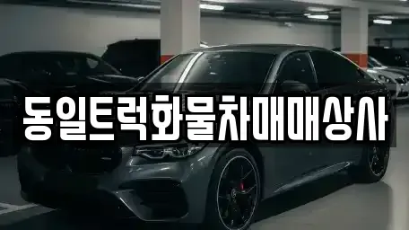 부산 강서구 성북동 중고차 전문 동일트럭화물차매매상사