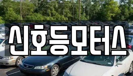 부산 강서구 지사동 중고차매매 전문 신호등모터스