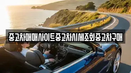부산 강서구 지사동 중고차매매 전문 중고차매매사이트중고차시세조회중고차구매