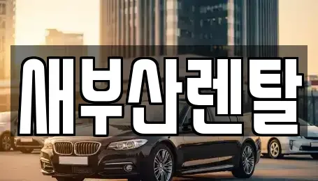 부산 금정구 노포동 렌트카 전문 새부산렌탈