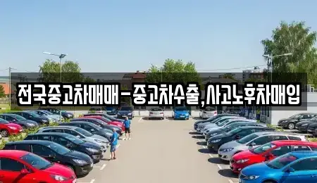 부산 금정구 노포동 중고차 전문 전국중고차매매-중고차수출,사고노후차매입