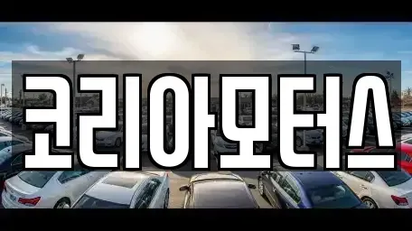 부산 금정구 노포동 중고차 전문 코리아모터스