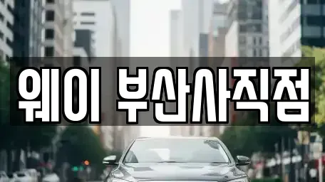 부산 동래구 사직동 렌트카 전문 웨이 부산사직점