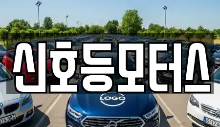 부산 동래구 사직동 중고차매매 전문 신호등모터스