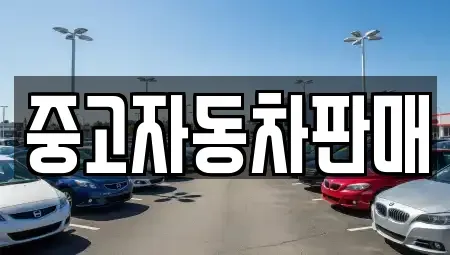 부산 동래구 사직동 중고차매매 전문 중고자동차판매