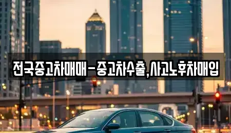 부산 동래구 사직동 중고차매입 전문 전국중고차매매-중고차수출,사고노후차매입