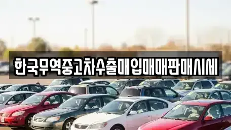 부산 동래구 사직동 중고차매입 전문 한국무역중고차수출매입매매판매시세