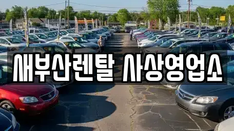 부산 사상구 렌트카 전문 새부산렌탈 사상영업소