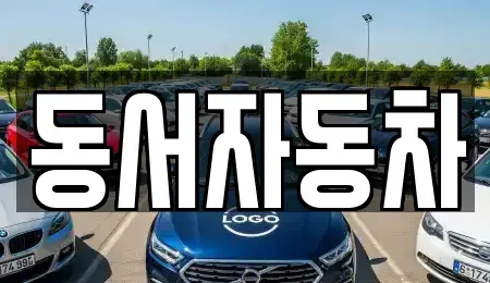 부산 사상구 중고차매매 전문 동서자동차