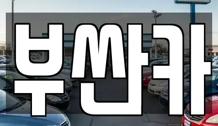 부산 사상구 중고차매매 전문 부싼카