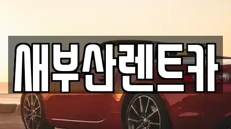 부산 서구 부민동3가 렌트카 전문 새부산렌트카