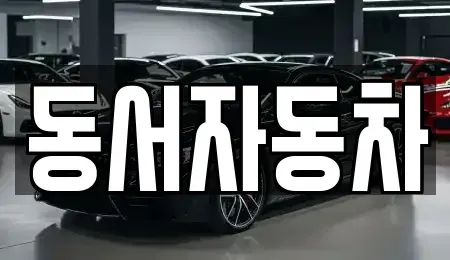 부산 서구 부민동3가 중고차 전문 동서자동차