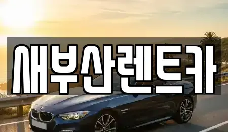 부산 서구 서대신동2가 렌트카 전문 새부산렌트카