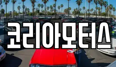 부산 서구 서대신동2가 중고차매매 전문 코리아모터스