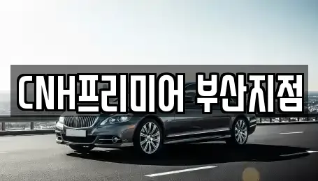 부산 중구 대청동3가 렌트카 전문 CNH프리미어 부산지점