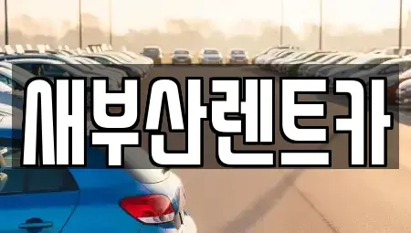 부산 중구 대청동3가 렌트카 전문 새부산렌트카