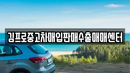 부산 중구 대청동3가 중고차매입 전문 김프로중고차매입판매수출매매센터
