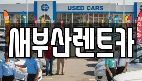 부산 중구 동광동2가 렌트카 전문 새부산렌트카