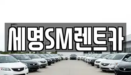 부산 중구 동광동2가 렌트카 전문 세명SM렌트카