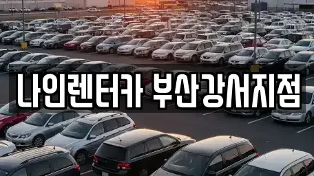 부산광역시 강서구 녹산동 렌트카 전문 나인렌터카 부산강서지점