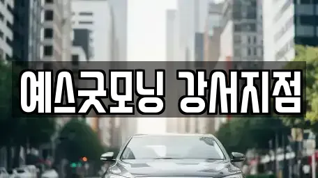 부산광역시 강서구 녹산동 렌트카 전문 예스굿모닝 강서지점
